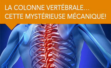 La colonne vertébrale… cette mystérieuse mécanique!